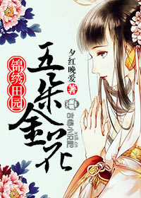 锦绣田园，五朵金花章节列表
