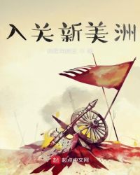 入关新美洲章节列表