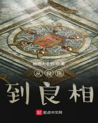从良医到良相章节列表