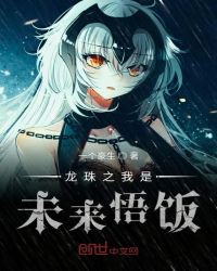 龙珠之我是未来悟饭章节列表