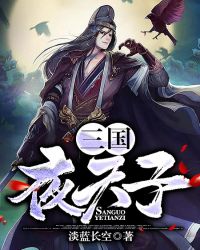 三国夜天子章节列表
