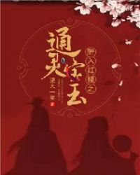 醉入红楼之通灵宝玉章节列表