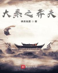 大秦之莽夫章节列表