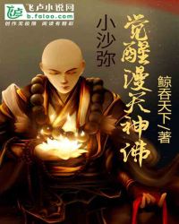 小沙弥；觉醒漫天神佛章节列表