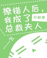 撩错人后，我成了总裁夫人章节列表