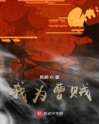 我为曹贼章节列表