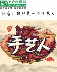 抖音：我只是一个手艺人章节列表