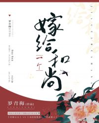 嫁给一个和尚章节列表