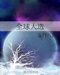 全球大选章节列表