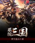 系统三国章节列表