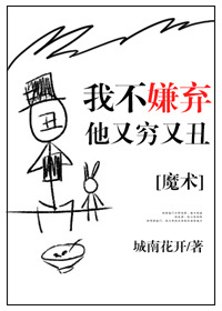 我不嫌弃他又丑又穷章节列表