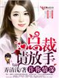 许你情深，总裁请放手章节列表