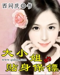 大小姐的贴身保镖章节列表