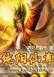 纯阳仙尊章节列表