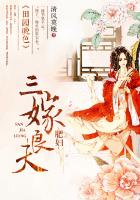 田园晚色：肥妇三嫁良夫章节列表