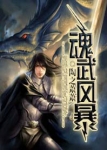 魂武风暴章节列表