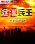 绝世兵王章节列表