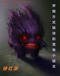 穿越方式错误的宠物小精灵章节列表