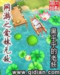 网游之爱妹无敌章节列表