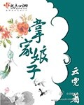 掌家娘子章节列表