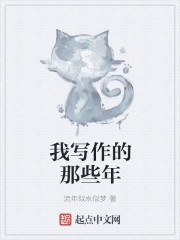 我写作的那些年章节列表