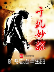 千机妙探章节列表