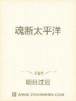魂断太平洋章节列表