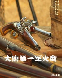 大唐第一军火商章节列表
