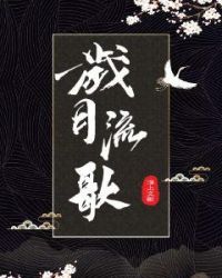 岁月流歌章节列表