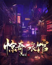 惊奇旅馆章节列表
