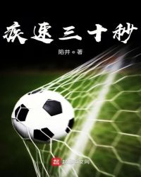 疾速三十秒章节列表