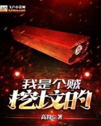 我是个贼，挖坟的！章节列表