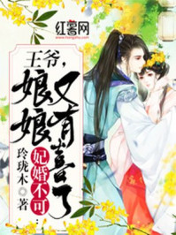 王爷，娘娘又有喜了！章节列表