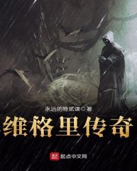 维格里传奇章节列表