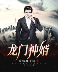 龙门神婿章节列表
