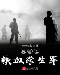 抗战之铁血学生团章节列表