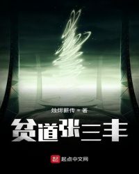 贫道张三丰章节列表