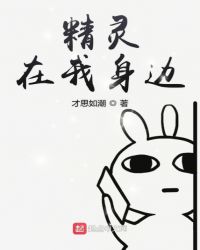 精灵在我身边章节列表