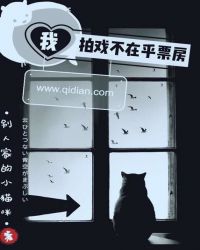 我拍戏不在乎票房章节列表