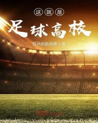 这就是足球高校章节列表