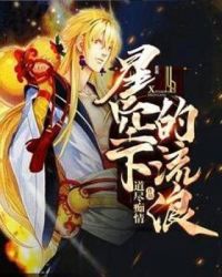星空下的流浪章节列表