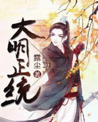 大明正统章节列表