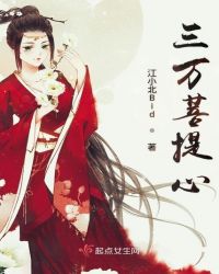 三万菩提心章节列表