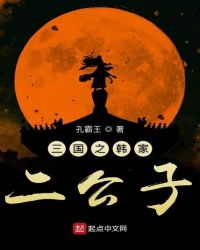 三国之韩家二公子章节列表