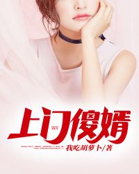 上门傻婿章节列表