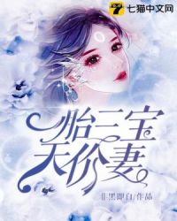 一胎三宝天价妻章节列表