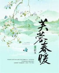 芙蓉春暖章节列表