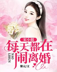 宋小姐每天都在闹离婚章节列表