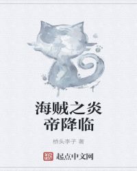 海贼之炎帝降临章节列表