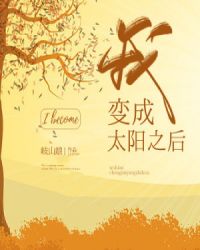 我变成太阳之后章节列表